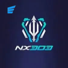 nx303